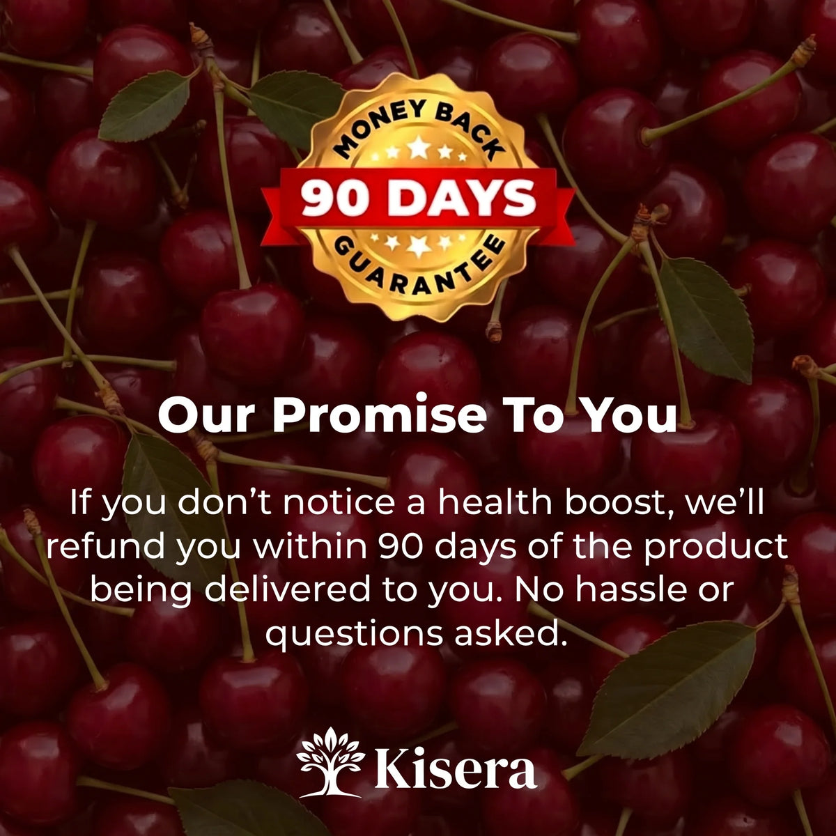 Kisera® Joint Soothing Tart Cherry Extract